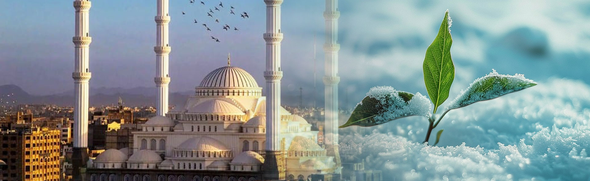 اسلایدر سوم